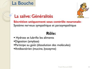 28Franck Rencurel 2020
La Bouche
Sécrétion uniquement sous contrôle neuronale:
Système nerveux sympathique et parasympathique
Rôle:
 Hydrate et lubrifie les aliments
Digestion (amylase)
Participe au goût (dissolution des molécules)
Antibactérien (mucine, lysozyme)
La salive: Généralités
 