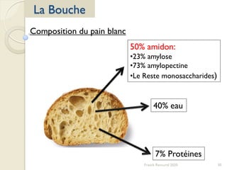 30Franck Rencurel 2020
La Bouche
50% amidon:
•23% amylose
•73% amylopectine
•Le Reste monosaccharides)
40% eau
7% Protéines
Composition du pain blanc
 