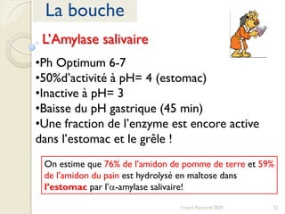 32Franck Rencurel 2020
La bouche
•Ph Optimum 6-7
•50%d’activité à pH= 4 (estomac)
•Inactive à pH= 3
•Baisse du pH gastrique (45 min)
•Une fraction de l’enzyme est encore active
dans l’estomac et le grêle !
On estime que 76% de l’amidon de pomme de terre et 59%
de l’amidon du pain est hydrolysé en maltose dans
l’estomac par l’a-amylase salivaire!
L’Amylase salivaire
 
