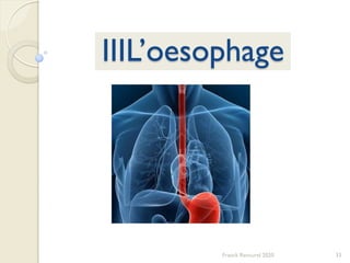 33Franck Rencurel 2020
IIIL’oesophage
 