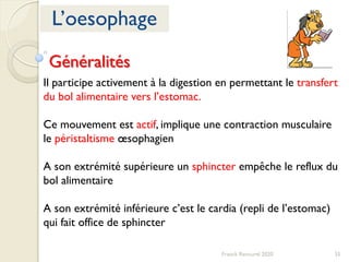 35Franck Rencurel 2020
L’oesophage
Généralités
Il participe activement à la digestion en permettant le transfert
du bol alimentaire vers l’estomac.
Ce mouvement est actif, implique une contraction musculaire
le péristaltisme œsophagien
A son extrémité supérieure un sphincter empêche le reflux du
bol alimentaire
A son extrémité inférieure c’est le cardia (repli de l’estomac)
qui fait office de sphincter
 
