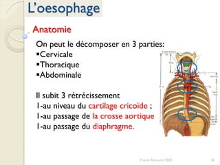 36Franck Rencurel 2020
L’oesophage
Anatomie
On peut le décomposer en 3 parties:
Cervicale
Thoracique
Abdominale
Il subit 3 rétrécissement
1-au niveau du cartilage cricoïde ;
1-au passage de la crosse aortique
1-au passage du diaphragme.
 