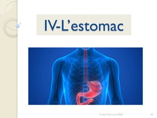 42Franck Rencurel 2020
IV-L’estomac
 