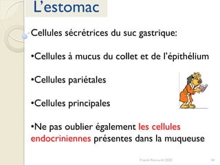 54Franck Rencurel 2020
L’estomac
Cellules sécrétrices du suc gastrique:
•Cellules à mucus du collet et de l’épithélium
•Cellules pariétales
•Cellules principales
•Ne pas oublier également les cellules
endocriniennes présentes dans la muqueuse
 