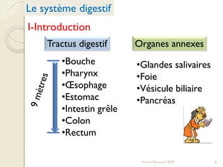 6
Tractus digestif Organes annexes
•Bouche
•Pharynx
•Œsophage
•Estomac
•Intestin grêle
•Colon
•Rectum
•Glandes salivaires
•Foie
•Vésicule biliaire
•Pancréas
Le système digestif
I-Introduction
Franck Rencurel 2020
 