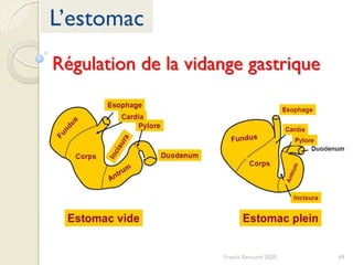 69Franck Rencurel 2020
L’estomac
Régulation de la vidange gastrique
 