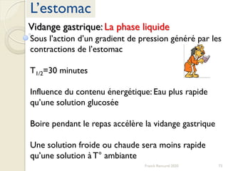 73Franck Rencurel 2020
L’estomac
Vidange gastrique: La phase liquide
Sous l’action d’un gradient de pression généré par les
contractions de l’estomac
T1/2=30 minutes
Influence du contenu énergétique: Eau plus rapide
qu’une solution glucosée
Boire pendant le repas accélère la vidange gastrique
Une solution froide ou chaude sera moins rapide
qu’une solution à T° ambiante
 