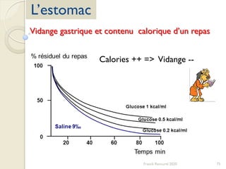 75Franck Rencurel 2020
L’estomac
Vidange gastrique et contenu calorique d’un repas
Calories ++ => Vidange --
 