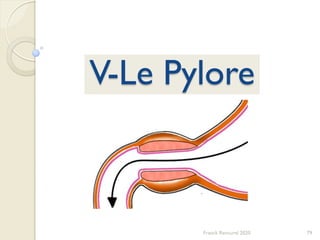 79Franck Rencurel 2020
V-Le Pylore
 