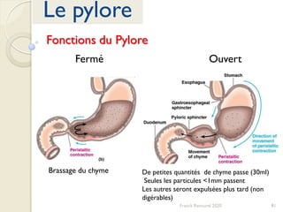 81Franck Rencurel 2020
Le pylore
Fonctions du Pylore
OuvertFermé
Brassage du chyme De petites quantités de chyme passe (30ml)
Seules les particules <1mm passent
Les autres seront expulsées plus tard (non
digérables)
 