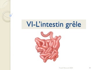84Franck Rencurel 2020
VI-L’intestin grêle
 