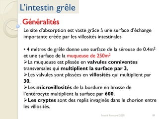 89Franck Rencurel 2020
L’intestin grêle
Généralités
Le site d’absorption est vaste grâce à une surface d’échange
importante créée par les villosités intestinales
• 4 mètres de grêle donne une surface de la séreuse de 0.4m2
et une surface de la muqueuse de 250m2
La muqueuse est plissée en valvules conniventes
transversales qui multiplient la surface par 3,
Les valvules sont plissées en villosités qui multiplient par
30,
Les microvillosités de la bordure en brosse de
l’entérocyte multiplient la surface par 600.
Les cryptes sont des replis invaginés dans le chorion entre
les villosités.
 