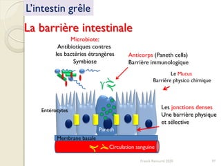 La barrière intestinale
Microbiote:
Antibiotiques contres
les bactéries étrangères
Symbiose
Le Mucus
Barrière physico chimique
Les jonctions denses
Une barrière physique
et sélective
Anticorps (Paneth cells)
Barrière immunologique
Membrane basale
Circulation sanguine
L’intestin grêle
Entérocytes
Paneth
97Franck Rencurel 2020
 