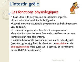 98Franck Rencurel 2020
L’intestin grêle
•Phase ultime de dégradation des aliments ingérés.
•Absorption des produits de la digestion.
•Activité motrice assurant la progression du bol alimentaire
vers le colon.
•Il contient un grand nombre de microorganismes.
•Fonction immunitaire sous forme de barrière aux germes
introduits par voie alimentaire.
•Fonction hormonale avec une action sur le tube digestif
(estomac, pylore) grâce à la sécrétion de sécrétine et de
cholecystokinine mais aussi sur le cerveau et l’organisme
entier (GLP-1, serotonine..)
Les fonctions physiologiques
 