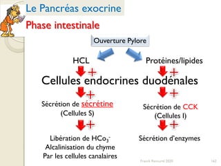 HCL
Sécrétion de sécrétine
(Cellules S)
Libération de HCo3
-
Alcalinisation du chyme
Par les cellules canalaires
Protéines/lipides
Sécrétion de CCK
(Cellules I)
Sécrétion d’enzymes
Phase intestinale
Cellules endocrines duodénales
162
Ouverture Pylore
Le Pancréas exocrine
Franck Rencurel 2020
 