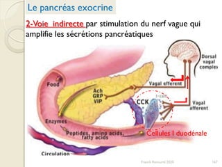 2-Voie indirecte par stimulation du nerf vague qui
amplifie les sécrétions pancréatiques
167
Le pancréas exocrine
Cellules I duodénale
Franck Rencurel 2020
 