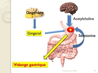 Franck Rencurel 2020 78
Acetylcholine
Gingerol
+
Vidange gastrique
Sérotonine
Gingembre
 