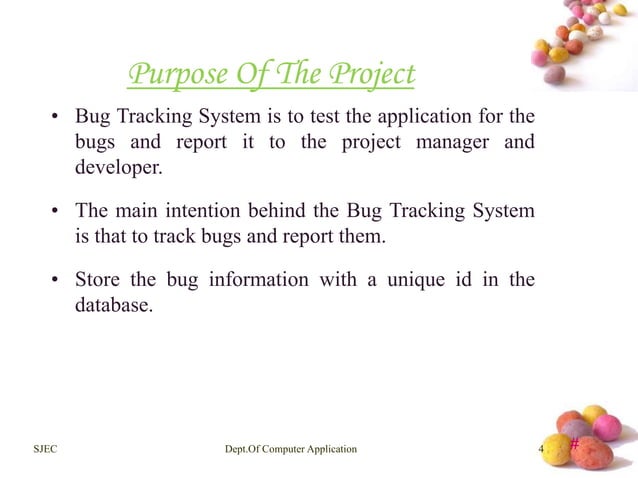 Bug Tracking System | PPT