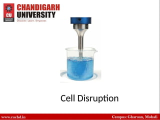 Comprehensive Overview of Cell Disruption Techniques for Intracellular ...