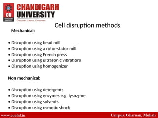 Comprehensive Overview of Cell Disruption Techniques for Intracellular ...