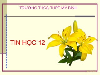 TRƯỜNG THCS-THPT MỸ BÌNH 
T I N H Ọ C 1 2 
Đặng Hữu Hoàng 
 