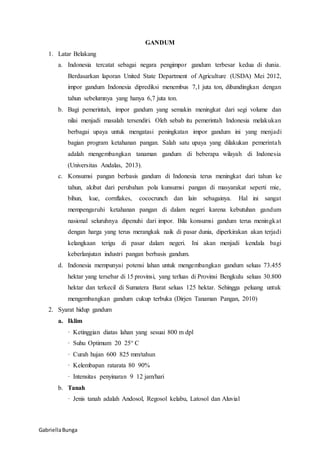 GabriellaBunga
GANDUM
1. Latar Belakang
a. Indonesia tercatat sebagai negara pengimpor gandum terbesar kedua di dunia.
Berdasarkan laporan United State Department of Agriculture (USDA) Mei 2012,
impor gandum Indonesia diprediksi menembus 7,1 juta ton, dibandingkan dengan
tahun sebelumnya yang hanya 6,7 juta ton.
b. Bagi pemerintah, impor gandum yang semakin meningkat dari segi volume dan
nilai menjadi masalah tersendiri. Oleh sebab itu pemerintah Indonesia melakukan
berbagai upaya untuk mengatasi peningkatan impor gandum ini yang menjadi
bagian program ketahanan pangan. Salah satu upaya yang dilakukan pemerintah
adalah mengembangkan tanaman gandum di beberapa wilayah di Indonesia
(Universitas Andalas, 2013).
c. Konsumsi pangan berbasis gandum di Indonesia terus meningkat dari tahun ke
tahun, akibat dari perubahan pola kunsumsi pangan di masyarakat seperti mie,
bihun, kue, cornflakes, cococrunch dan lain sebagainya. Hal ini sangat
mempengaruhi ketahanan pangan di dalam negeri karena kebutuhan gandum
nasional seluruhnya dipenuhi dari impor. Bila konsumsi gandum terus meningkat
dengan harga yang terus merangkak naik di pasar dunia, diperkirakan akan terjadi
kelangkaan terigu di pasar dalam negeri. Ini akan menjadi kendala bagi
keberlanjutan industri pangan berbasis gandum.
d. Indonesia mempunyai potensi lahan untuk mengembangkan gandum seluas 73.455
hektar yang tersebar di 15 provinsi, yang terluas di Provinsi Bengkulu seluas 30.800
hektar dan terkecil di Sumatera Barat seluas 125 hektar. Sehingga peluang untuk
mengembangkan gandum cukup terbuka (Dirjen Tanaman Pangan, 2010)
2. Syarat hidup gandum
a. Iklim
· Ketinggian diatas lahan yang sesuai 800 m dpl
· Suhu Optimum 20 25° C
· Curah hujan 600 825 mm/tahun
· Kelembapan ratarata 80 90%
· Intensitas penyinaran 9 12 jam/hari
b. Tanah
· Jenis tanah adalah Andosol, Regosol kelabu, Latosol dan Aluvial
 