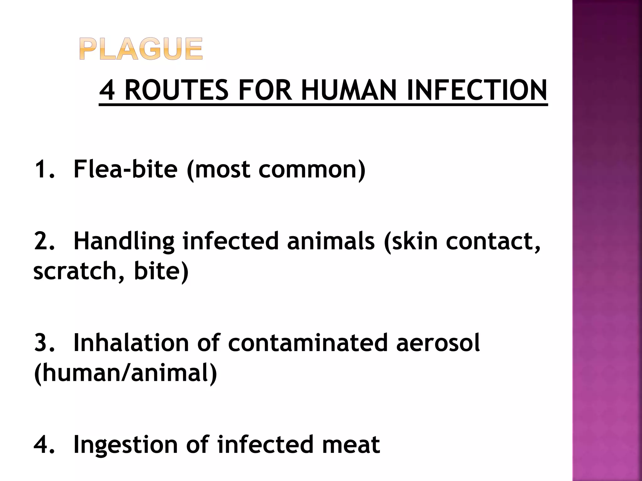 4 ROUTES FOR HUMAN INFECTION
1. Flea-bite (most common)
2. Handling infected animals (skin contact,
scratch, bite)
3. Inhalation of contaminated aerosol
(human/animal)
4. Ingestion of infected meat
 