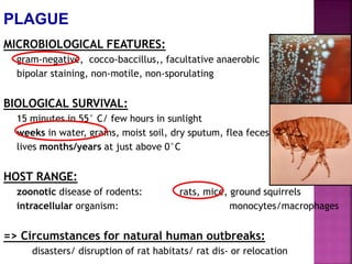 PLAGUE
MICROBIOLOGICAL FEATURES:
gram-negative, cocco-baccillus,, facultative anaerobic
bipolar staining, non-motile, non-sporulating
BIOLOGICAL SURVIVAL:
15 minutes in 55° C/ few hours in sunlight
weeks in water, grains, moist soil, dry sputum, flea feces
lives months/years at just above 0°C
HOST RANGE:
zoonotic disease of rodents: rats, mice, ground squirrels
intracellular organism: monocytes/macrophages
=> Circumstances for natural human outbreaks:
disasters/ disruption of rat habitats/ rat dis- or relocation
 