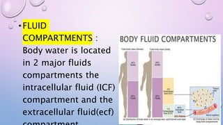 •FLUID
COMPARTMENTS :
Body water is located
in 2 major fluids
compartments the
intracellular fluid (ICF)
compartment and the
extracellular fluid(ecf)
 