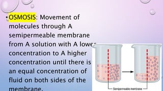 •OSMOSIS: Movement of
molecules through A
semipermeable membrane
from A solution with A lower
concentration to A higher
concentration until there is
an equal concentration of
fluid on both sides of the
 