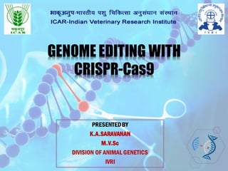 PRESENTEDBY
K.A.SARAVANAN
M.V.Sc
DIVISION OF ANIMAL GENETICS
IVRI
GENOME EDITING WITH
CRISPR-Cas9
 