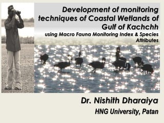 Development of monitoring techniques of Coastal Wetlands of Gulf of Kachchhusing Macro Fauna Monitoring Index & Species Attributes Dr. Nishith Dharaiya HNG University, Patan 
