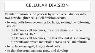 CELLULAR DIVISION
Cellular division is the process by which a cell divides into
two new daughter cells. Cell division occurs:
 to keep cells from becoming too large, solving the following
issues:
o the larger a cell becomes, the more demands the cell
places on its DNA
o the larger a cell becomes, the less efficient it is in moving
nutrients and waste materials across its cell membrane
 to replace damaged, lost, or dead cells
 so that the organism may grow and develop
 