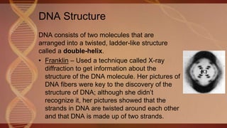 DNA Structure
DNA consists of two molecules that are
arranged into a twisted, ladder-like structure
called a double-helix.
• Franklin – Used a technique called X-ray
diffraction to get information about the
structure of the DNA molecule. Her pictures of
DNA fibers were key to the discovery of the
structure of DNA; although she didn’t
recognize it, her pictures showed that the
strands in DNA are twisted around each other
and that DNA is made up of two strands.
 