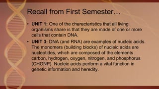 Recall from First Semester…
• UNIT 1: One of the characteristics that all living
organisms share is that they are made of one or more
cells that contain DNA.
• UNIT 3: DNA (and RNA) are examples of nucleic acids.
The monomers (building blocks) of nucleic acids are
nucleotides, which are composed of the elements
carbon, hydrogen, oxygen, nitrogen, and phosphorus
(CHONP). Nucleic acids perform a vital function in
genetic information and heredity.
 
