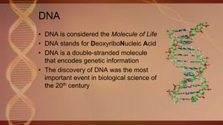 DNA
• DNA is considered the Molecule of Life
• DNA stands for DeoxyriboNucleic Acid
• DNA is a double-stranded molecule
that encodes genetic information
• The discovery of DNA was the most
important event in biological science of
the 20th century
 