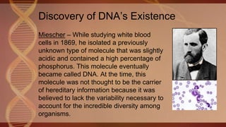 Discovery of DNA’s Existence
Miescher – While studying white blood
cells in 1869, he isolated a previously
unknown type of molecule that was slightly
acidic and contained a high percentage of
phosphorus. This molecule eventually
became called DNA. At the time, this
molecule was not thought to be the carrier
of hereditary information because it was
believed to lack the variability necessary to
account for the incredible diversity among
organisms.
 