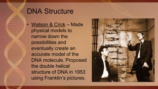 DNA Structure
• Watson & Crick – Made
physical models to
narrow down the
possibilities and
eventually create an
accurate model of the
DNA molecule. Proposed
the double helical
structure of DNA in 1953
using Franklin’s pictures.
 