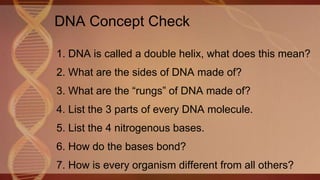 DNA Concept Check
1. DNA is called a double helix, what does this mean?
2. What are the sides of DNA made of?
3. What are the “rungs” of DNA made of?
4. List the 3 parts of every DNA molecule.
5. List the 4 nitrogenous bases.
6. How do the bases bond?
7. How is every organism different from all others?
 