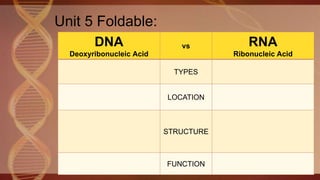 Unit 5 Foldable:
DNA
Deoxyribonucleic Acid
vs RNA
Ribonucleic Acid
TYPES
LOCATION
STRUCTURE
FUNCTION
 