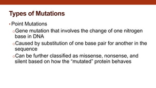 BU5.4 DNA (Gene) Mutations | PPTX