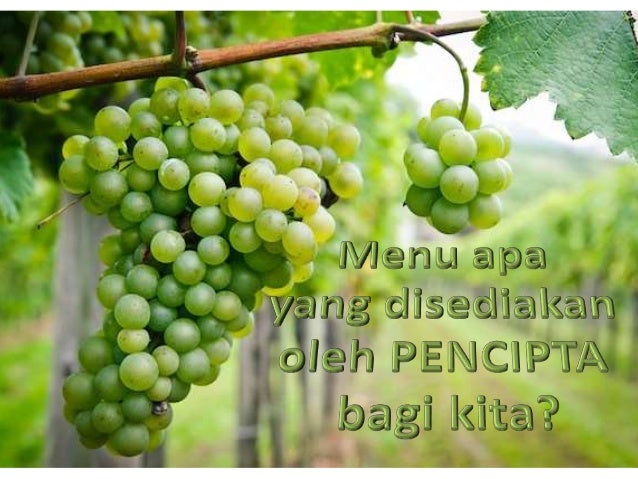 Buah