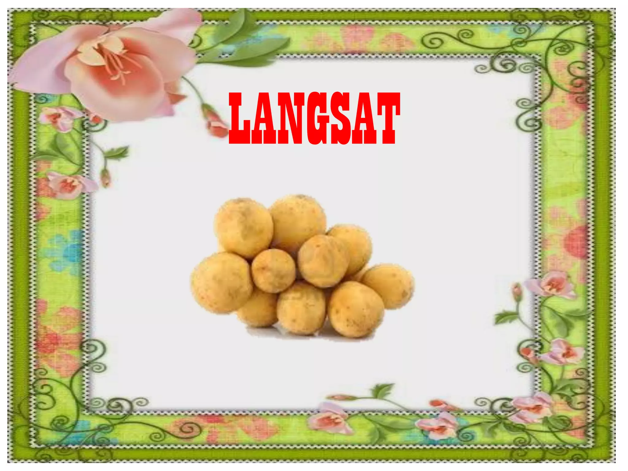 LANGSAT
 