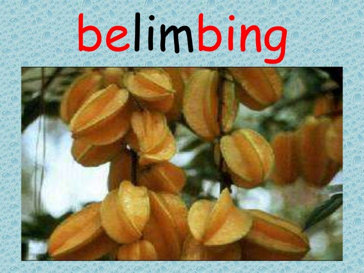 Buah Buahan Tempatan 10577308