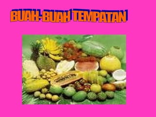 Buah Buahan Tempatan Brunei