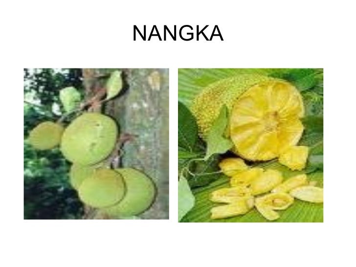 Buah Buahan Tempatan1 508816