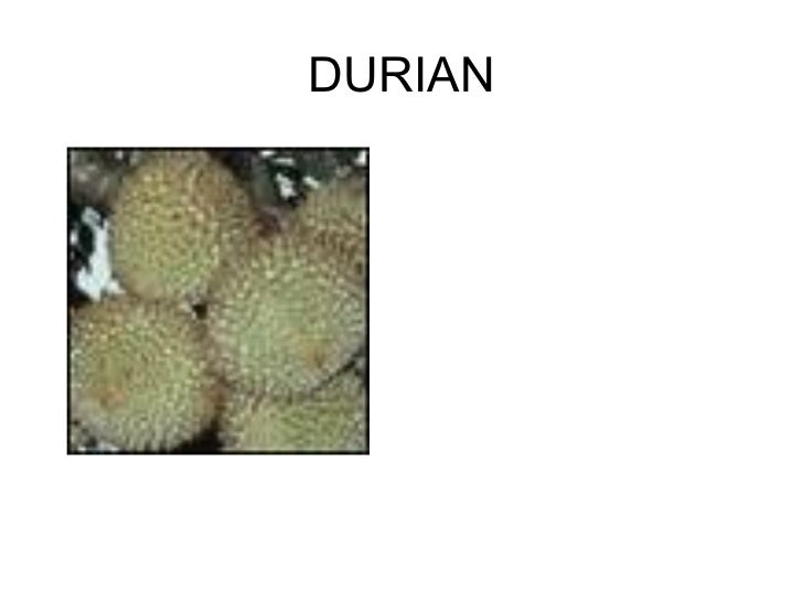 Buah Buahan Tempatan1 508828