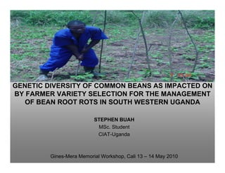 GENETIC DIVERSITY OF COMMON BEANS AS IMPACTED ON
BY FARMER VARIETY SELECTION FOR THE MANAGEMENT
   OF BEAN ROOT ROTS IN SOUTH WESTERN UGANDA

                          STEPHEN BUAH
                           MSc. Student
                           CIAT-Uganda



         Gines-Mera Memorial Workshop, Cali 13 – 14 May 2010
 