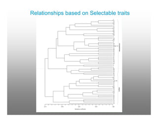 Genetic diversity of common beans as impacted on By farmer variety selection for the management Of bean root rots in south western uganda