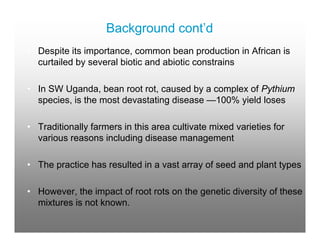 Genetic diversity of common beans as impacted on By farmer variety selection for the management Of bean root rots in south western uganda
